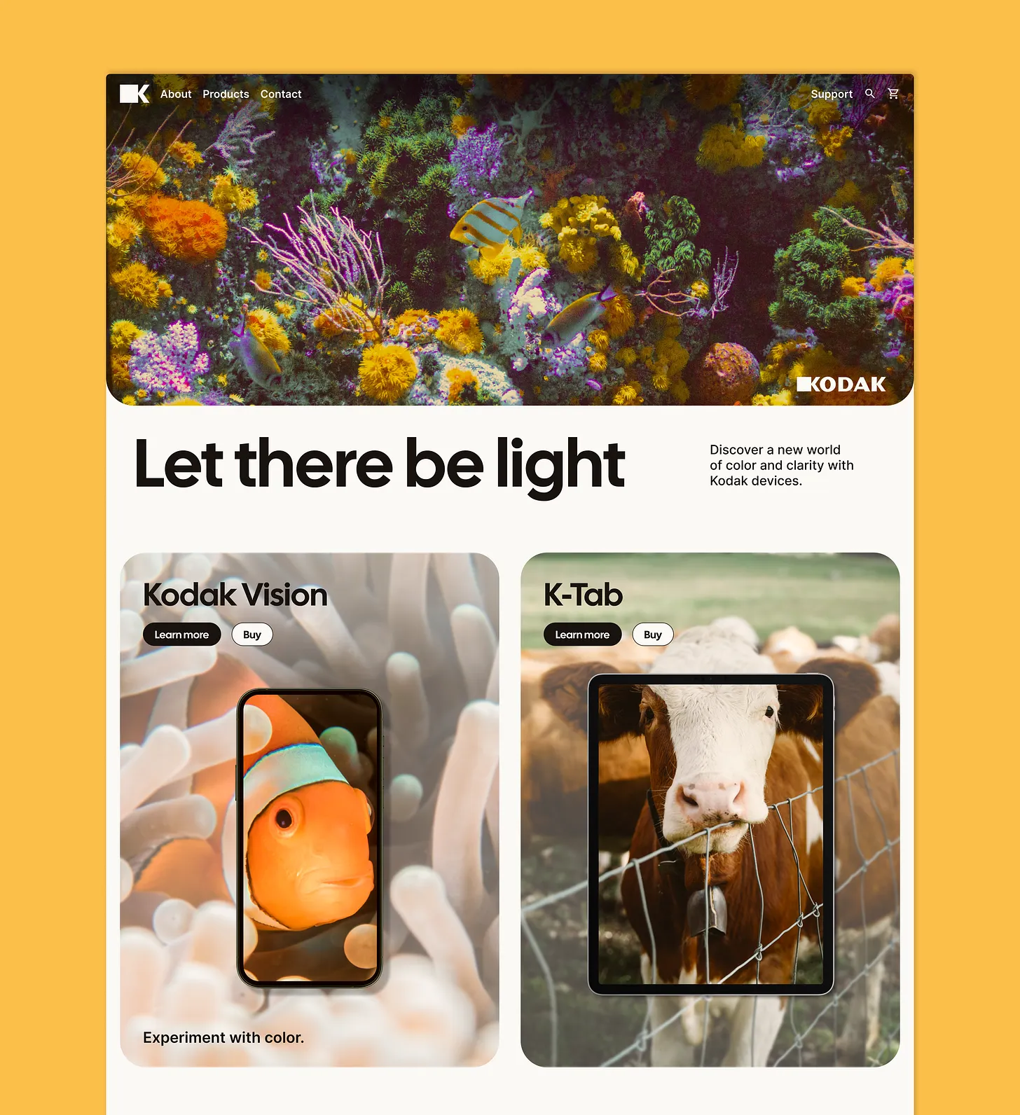 kodak redesign website